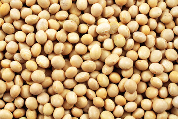 A close up image of whole soybeans
