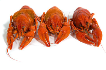 Macro three Boiled crayfish on isolate white background