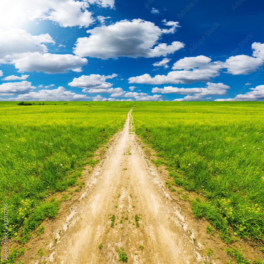 Wall mural road on the field with flowers at hot day summer time.