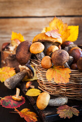 Autumnal wild forest edible mushrooms (boletus) in basket