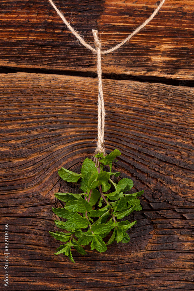 Canvas Prints fresh mentha hanging on rustic wooden background. culinary aromatic herbs.