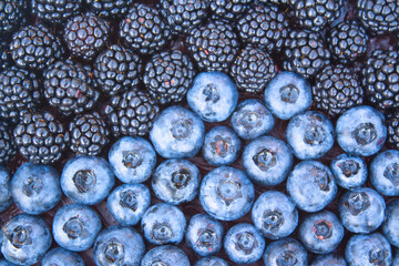 Berry background. Blackberries and blueberries