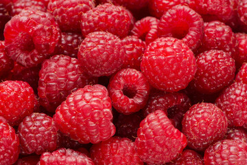 Background from ripe berries of raspberry