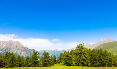 Wonderful view on Italian Alps with a forest background during a summer day. Piedmont region - North Italy.