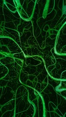 Green energy particles in abstract futuristic microbial kelp cluster. Vertical 3D illustration background. Sustainable marine ecology resources and electric energy production of bioluminescence algae.