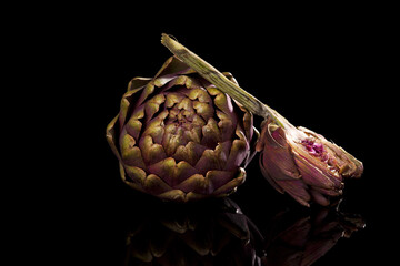 Fresh artichoke isolated on black background. Culinary healthy vegetable eating.