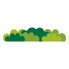 Fototapeta premium Bush Illustration Vector