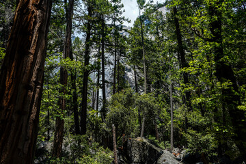Yosemite National Park, California, USA.