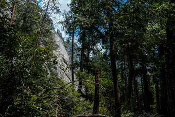 Yosemite National Park, California, USA.