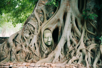 Buddha head overgrown by tree roots in Wat Mahathat, Ayutthaya, Thailand. generative ai.