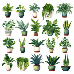 Fototapeta na wymiar House green plants. A set of hand drawn digital illustrations. generative ai.