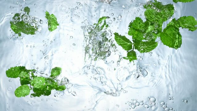 Water splash with green mint,slow motion