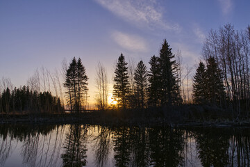 Obraz premium Astotin Lake during a Beautiful Mid-Spring Evening