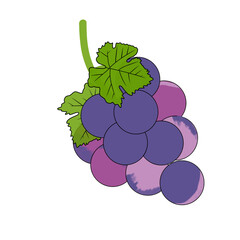Grapes icon vector isolated on white background for your web and mobile app design, Grape logo conce