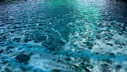 Marine aquarium tank being oxygenated with foam on the water