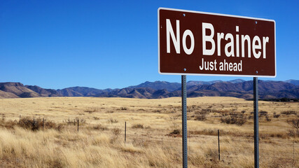 No Brainer brown road sign with blue sky and wilderness © Designpics