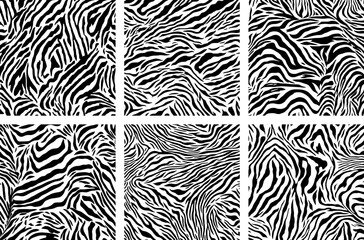 Fototapeta na wymiar African zebra camouflage print collection. Black-and-white zebra skin pattern