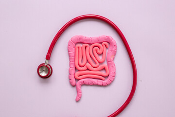 Human intestines colon organ shape. Digestive tract problems colitis or colon cancer - obrazy, fototapety, plakaty