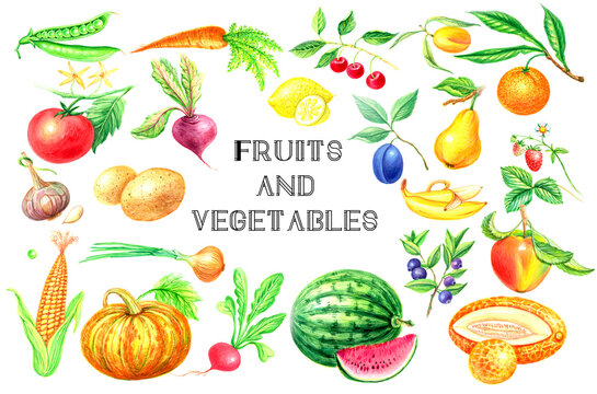 Watercolor set of fruits and vegetables on a white background