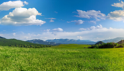 Fototapeta na wymiar Panoramic natural landscape with green grass field, blue sky with clouds and and mountains in background. Panorama summer spring meadow.