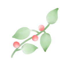 red orchid isolated on white background