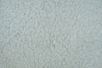 white feather background