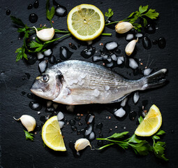 Fresh Fish Orata Over a Black stone with vegetables, lemon and pieces of ice.