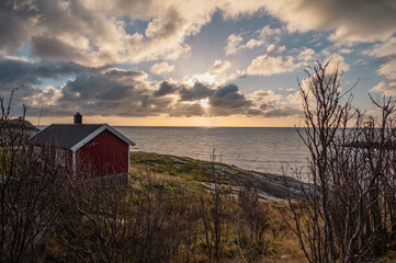 Sunrise over the ocean with red fisherman cottage near the shore in autumn. Dry bush is in the foreground.