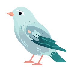 Obraz premium Cute finch with blue feathers