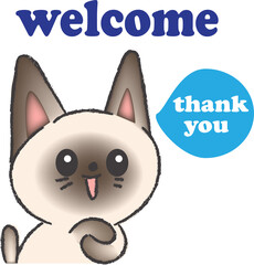 Wichianmat cat poses cutely to welcome