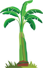 Tropical banana tree vector icon