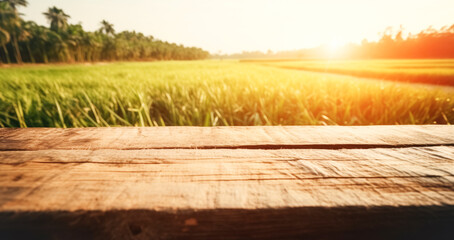 Empty wooden table top in front of abstract blurred rice field, rural plantation of green rice shoots