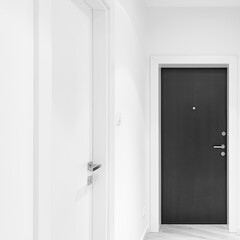 Closed metal door in the flat corridor.