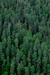 PARQUE NACIONAL EL CHICO