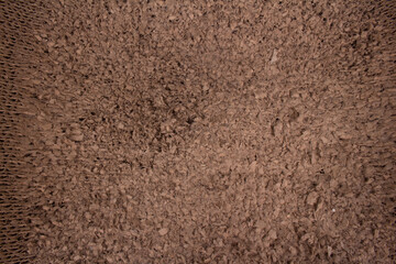 cat scratcher texture background closeup