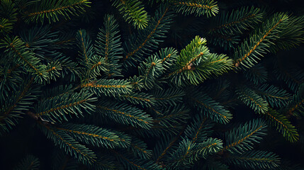Fototapeta na wymiar Nature's Festive Embrace Christmas Tree Branches - Symbolizing New Year and Christmas - Banner - Flat Lay, Top View. created with Generative AI