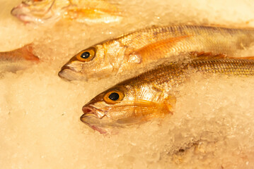 fish on ice in a store. Fresh fish in a supermarket. Healthy eating. Top view.  - 622162589