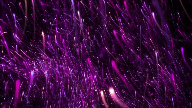 Purple pink swarm of rising glowing particle light streaks. Festive shiny luxury product showcase. Soft elegant futuristic ambient and celebration backdrop. 3D animation loop wallpaper background.