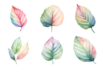 Fototapeta na wymiar colorful watercolor pastel leaves elements collection isolated on transparent background
