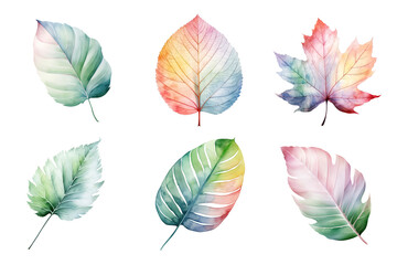 Fototapeta na wymiar colorful watercolor pastel leaves elements collection isolated on transparent background