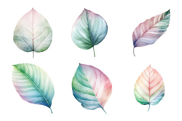 Obraz premium colorful watercolor pastel leaves elements collection isolated on transparent background