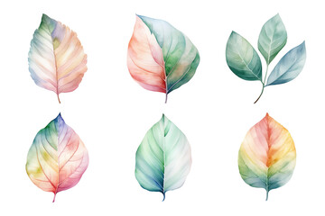 colorful watercolor pastel leaves elements collection isolated on transparent background