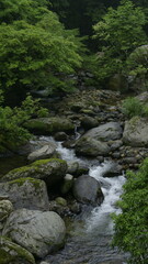 stream in the mountains