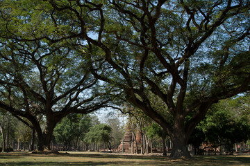 Fototapeta na wymiar Two big trees and an old pagoda in the middle.Two big trees