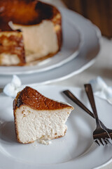 Piece of homemade basque cheese cake close-up