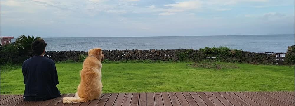 person sitting on the beach