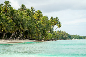 Obraz premium Paradise Found: Serene Tropical Beach Bliss with Palm Trees, Soft Sand, and Crystal Blue Ocean