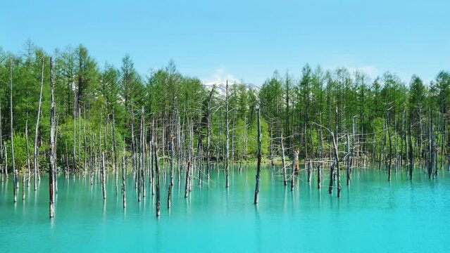Mt. Tokachi and Shirogane Blue Pond