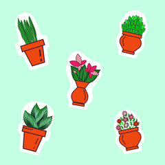 Set of home plants in the pots. Colorful flowers. Vector.