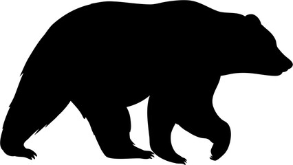 Animal Bear Silhouette Wildlife Vector
